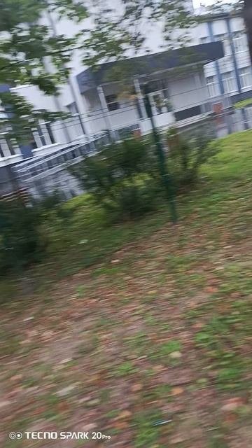 VID_20250829_073737