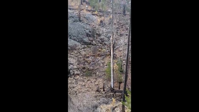 Пак 032 (приколы, мемы, смешные видео)