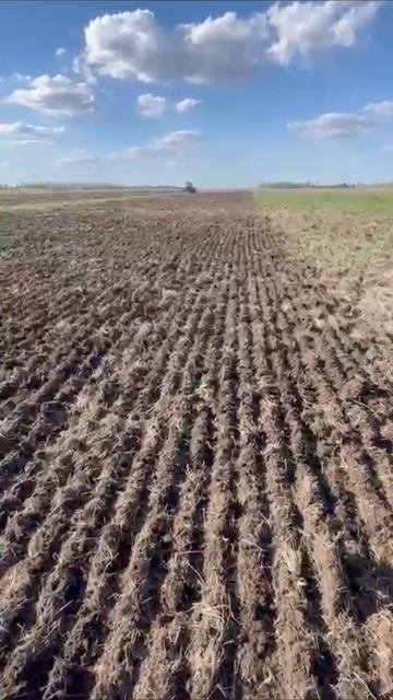 Discordon вещи делает!!