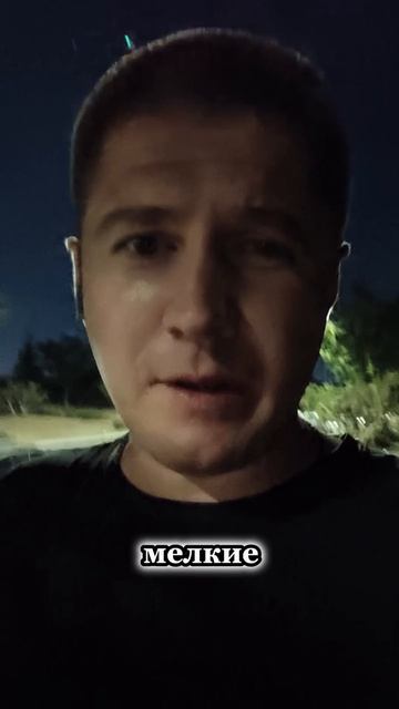 Авто под заказ