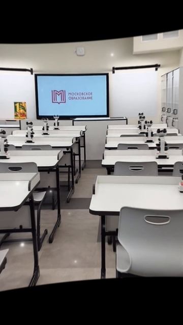 школа моей мечты