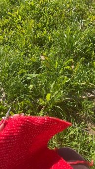 ❤️Мой идеальный день❤️