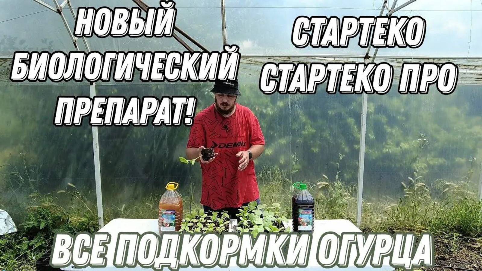 Отзыв от 9 августа 2025 года, Азовский р-н Ростовской области