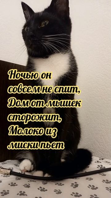 Калипса
#логика #подумать #размышлять #длядетей #загадки #думать #развитеЕ #развлечение #игрыдлядете