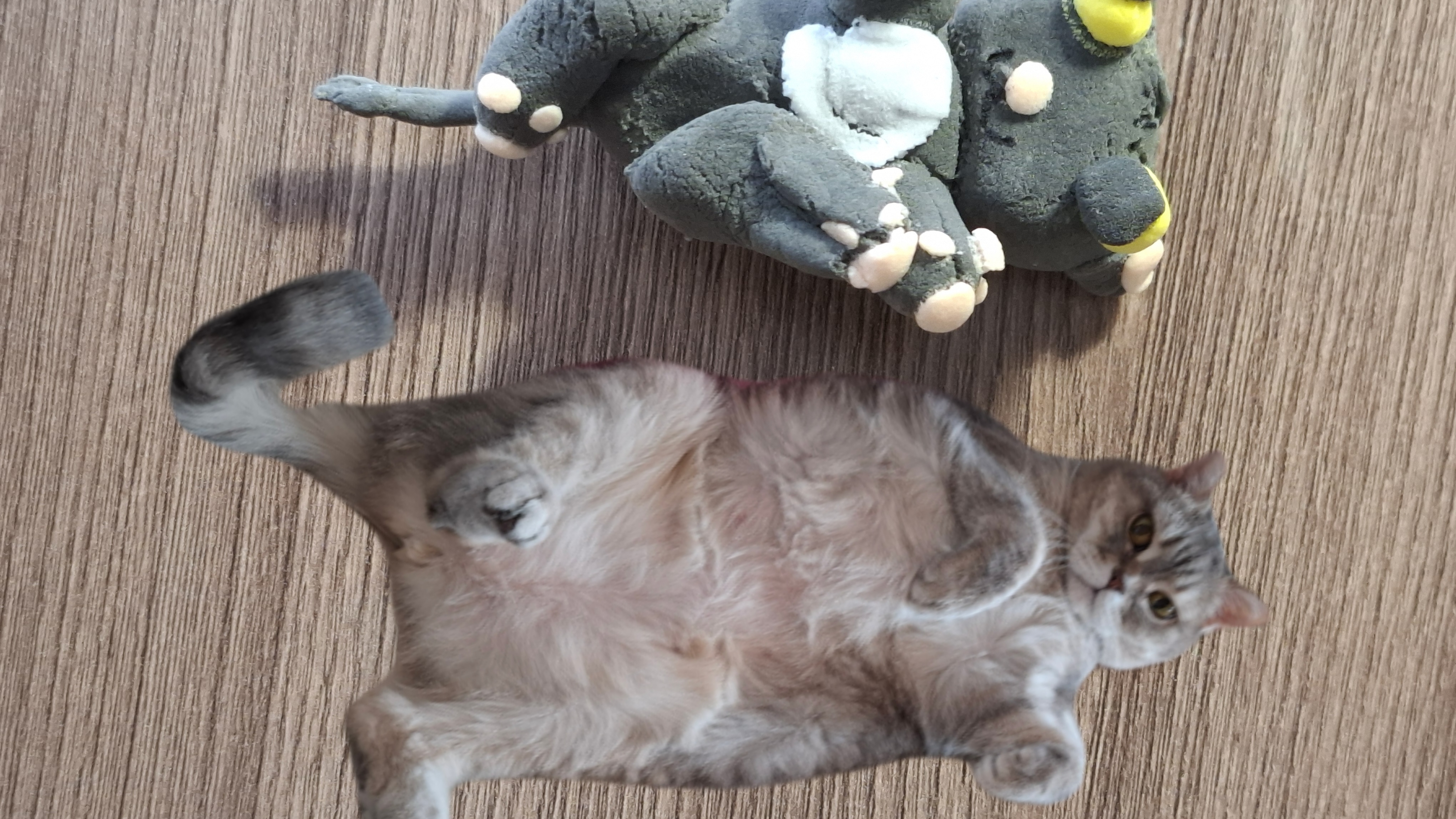 леплю из воздушного пластилина моего котика мерсик! брелочек из него не совсем получилось сделать🤭