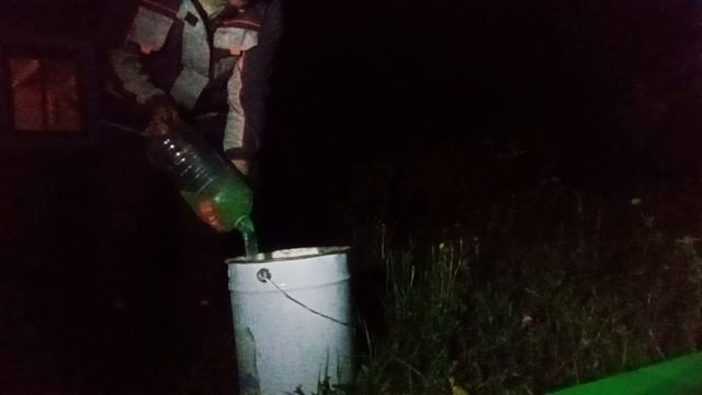 Как уничтожить осиный рой в земле.