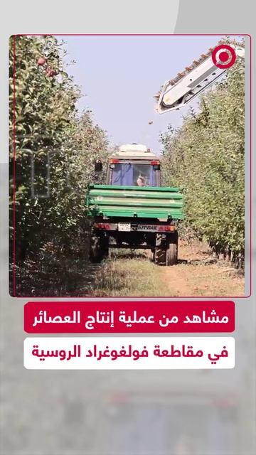 لقطات لإنتاج العصائر في مقاطعة فولغوغراد الروسية