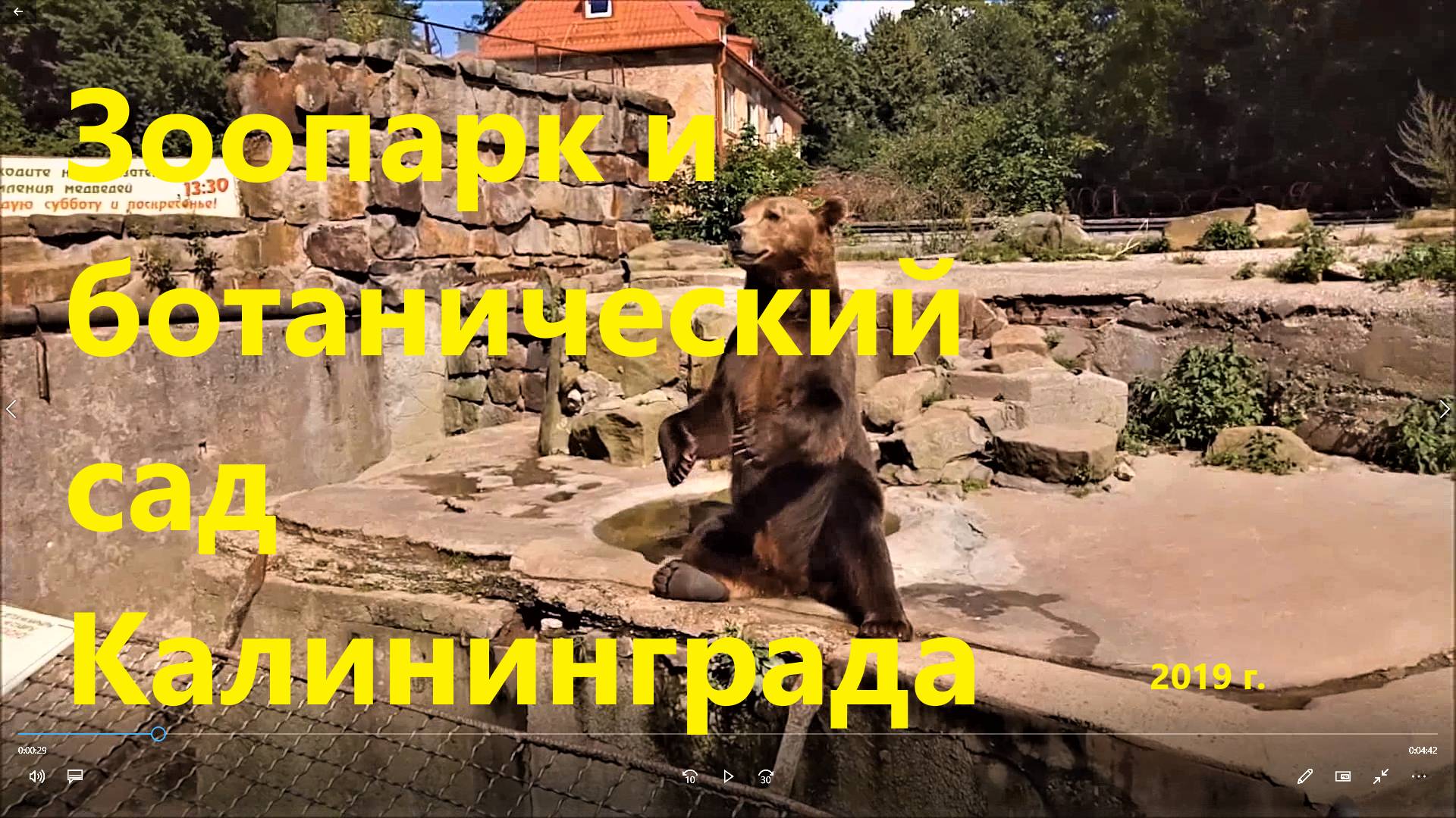 В зоопарке и ботаническом саду Калининграда, 2019 г.