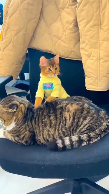 Хороших выходных