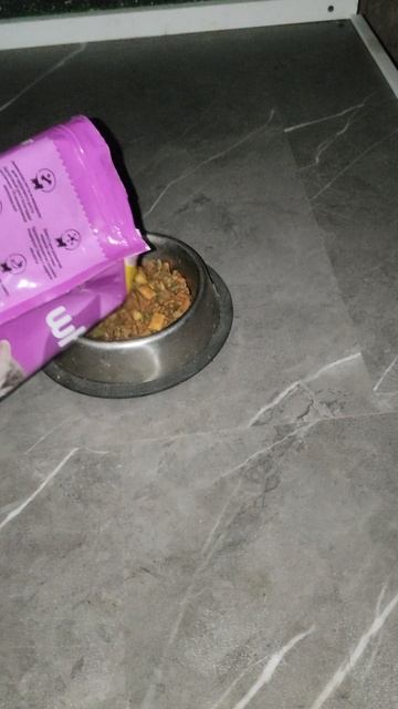 В кафе "Вкусняшка" пушистиков всегда ждут вкусняшки.