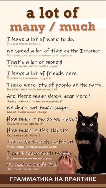 A Lot Much, Many & Much.