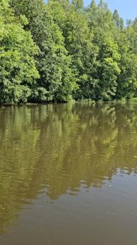 Васильсурские протоки на островах ч.1