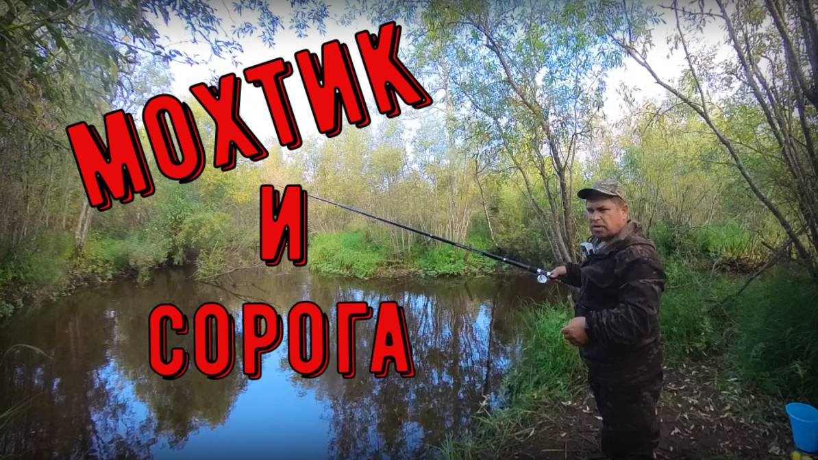 За мохтиком на маленькую речку