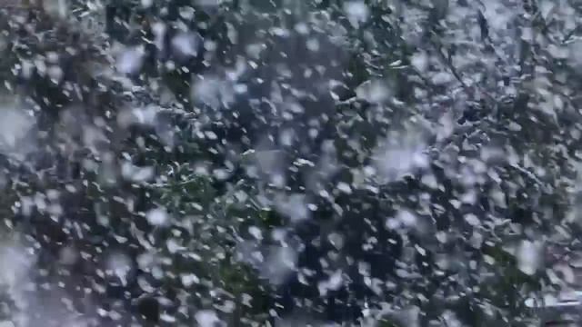 Первое декабря