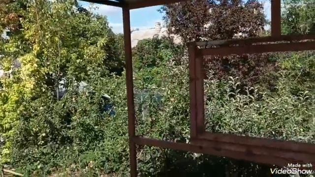 1000006219.mp4