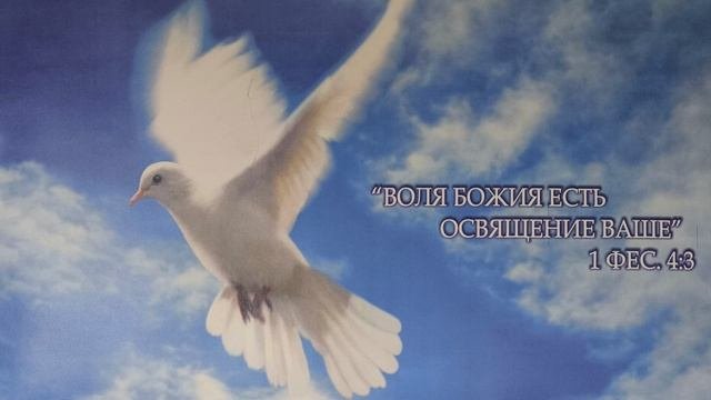 Пророк из среды тебя