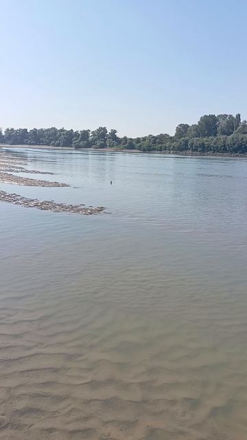 рыбалка Кубань 16.08.25.