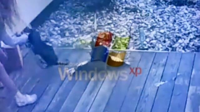 смешнявка
