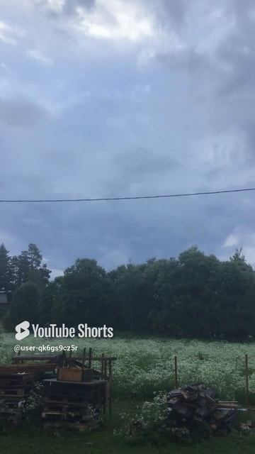 Ленинградская область. Хвойное. 20.06.2024. Раннее утро, рассвет