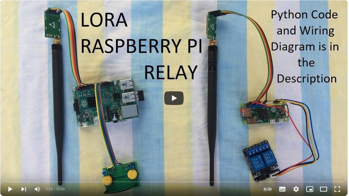 7. Ebyte LORA with Raspberry Pi to switch Relay