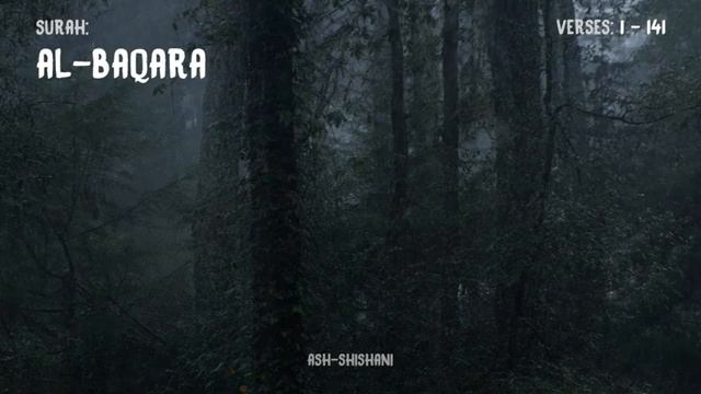 THE CHECHEN RECITES THE QURAN WITH GREAT BEAUTY_ SURAH AL-BAQARA _ MAKHDI SHISHANI(360P)