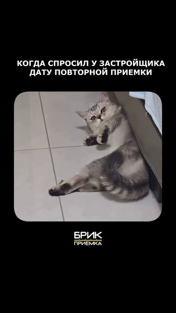 Когда спрашиваешь у застройщика