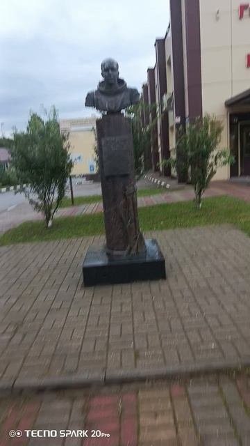 VID_20250829_073945
