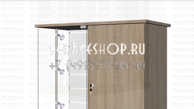 Торговый прилавок с экономпанелью и тумбой с распашной дверкой