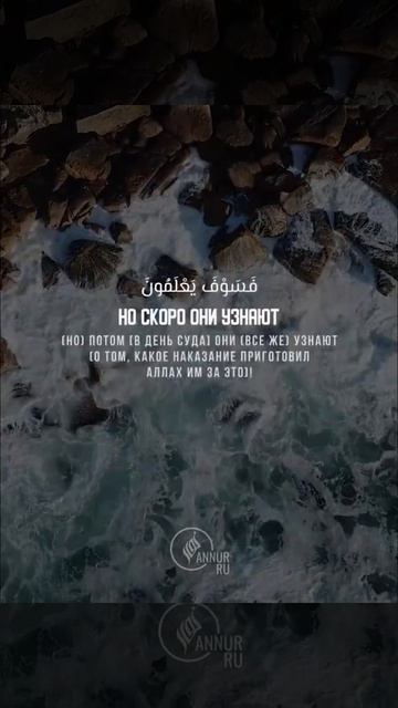 АбдурРахман Масад _ Сура Аль-Анкабут [65-67 Аят](720P_HD)