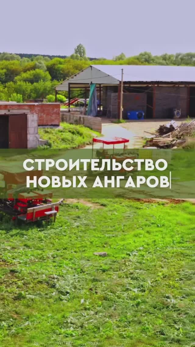 Строительство новых ангаров для хранения чеснока АгроИнвестРФ Чеснок 2025 🧄