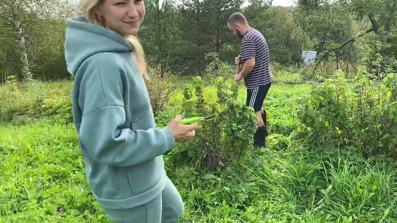 Домик в деревнеЗанимаемся садовыми делами. Установили дверь в ванную комнату.