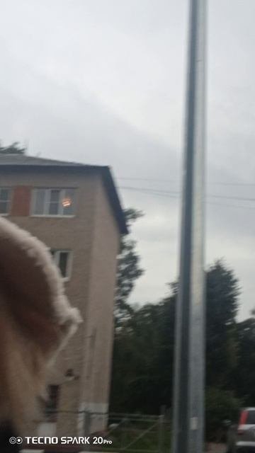 VID_20250829_073842
