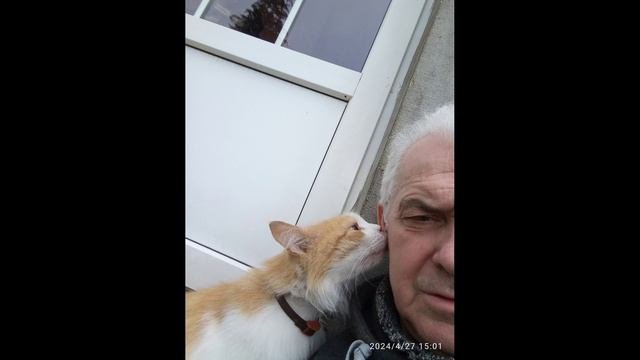 Васька