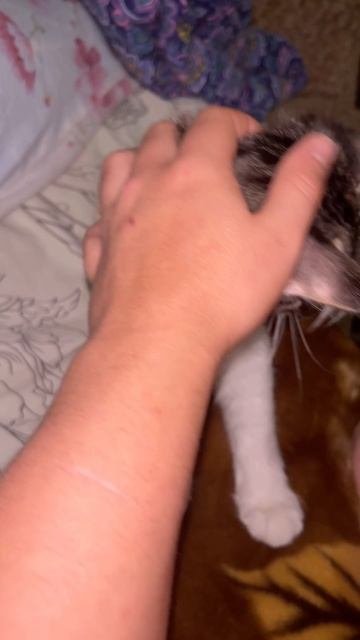 #cat