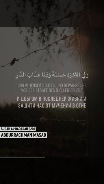 АбдурРахман Масад _ Сура Аль-Бакара [201 Аят](720P_HD)