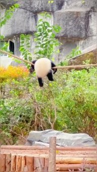 Трям) 😊😏🤭😊