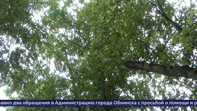 Обнинские новости за 29 августа 2025