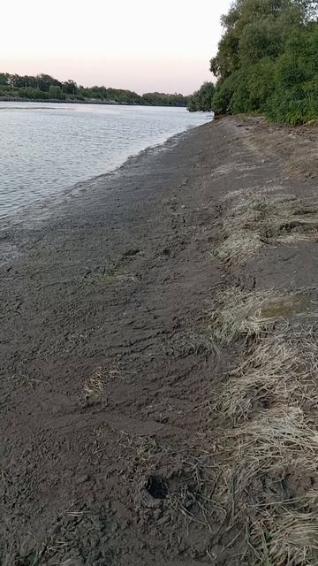 рыбалка Кубань 09.08.25.