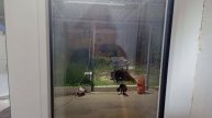 Переехали на Юг/Продолжаем закупки к школе и другие покупки/Жарим шашлык.
