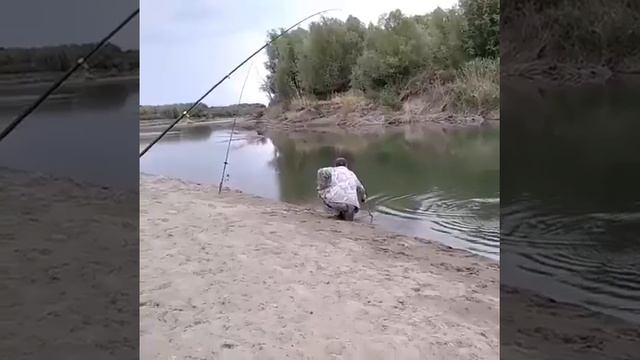Видео от За Трофеем: Охота и Рыбалка