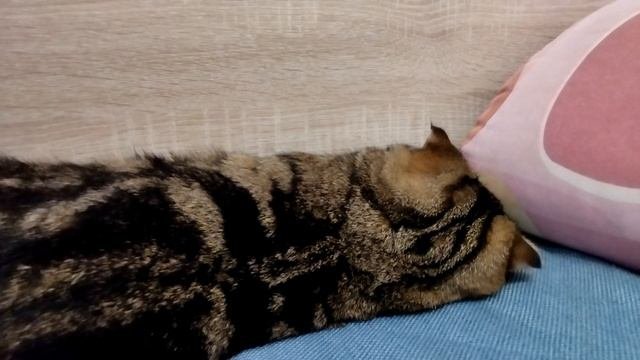 личная жизнь