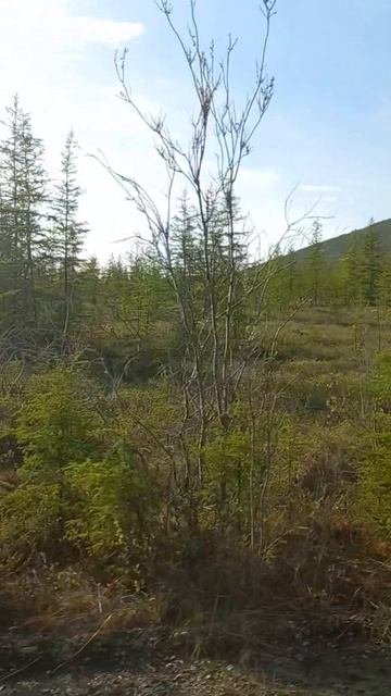 Чукотка Билибино путешествияпороссии суровыйкрай крайсвета Заполярье лето2025 нашастрана топ