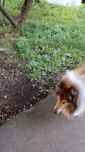 Джим 21 день лечения