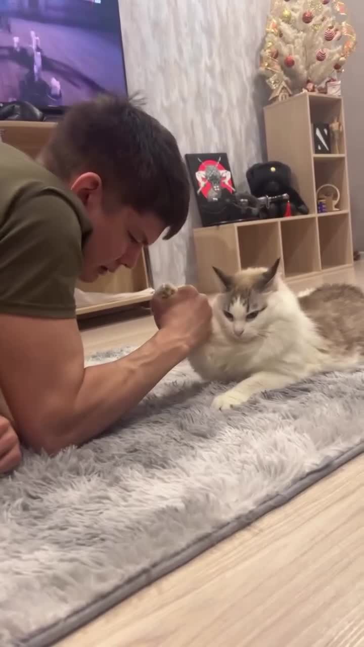 Подкачайся, братуха 💪😻