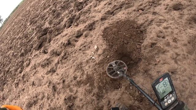 как провел воскресенье