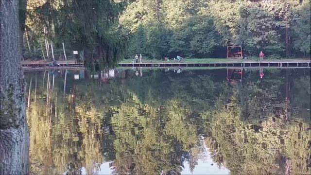 Утренний обзор с нижнего водоёма. Клёвое место, Лосиный остров.