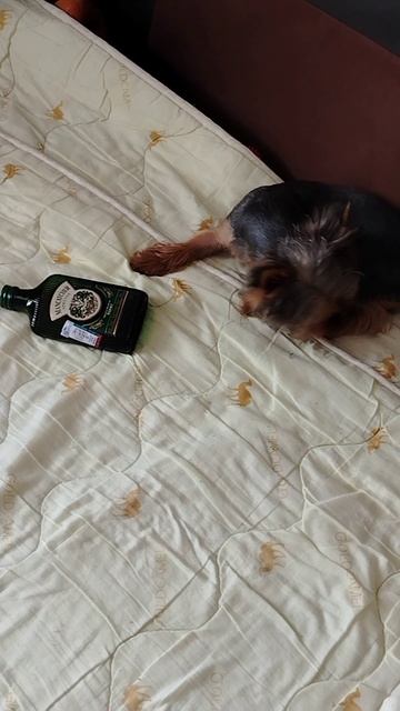 без названия