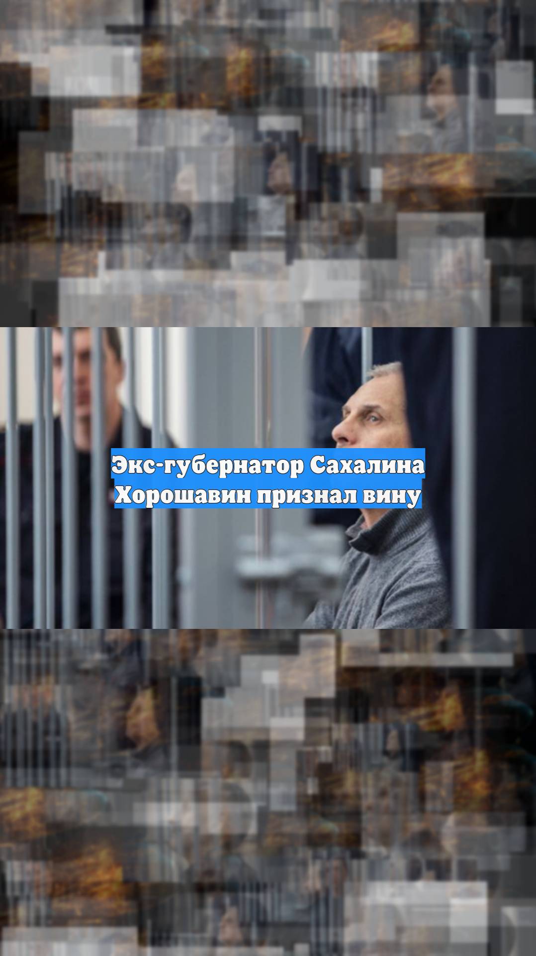 Экс-губернатор Сахалина Хорошавин признал вину