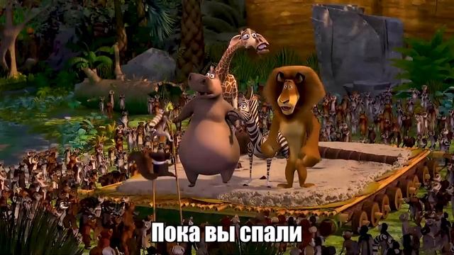 магадаскар RYTP (наш тг в описании)