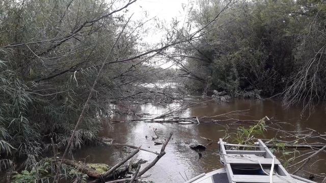 Поход 31 Августа 09 Завал